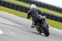 PJ-Motorsport-2019;anglesey-no-limits-trackday;anglesey-photographs;anglesey-trackday-photographs;enduro-digital-images;event-digital-images;eventdigitalimages;no-limits-trackdays;peter-wileman-photography;racing-digital-images;trac-mon;trackday-digital-images;trackday-photos;ty-croes